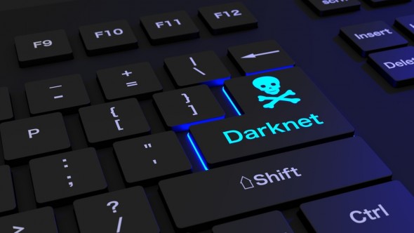 Cofondatorul „Hydra” - platformă ilegală de pe dark net, a fost arestat în Rusia